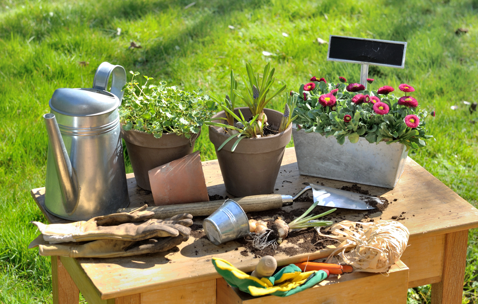 Kako so dodatki za vrt spremenili moj kotiček narave